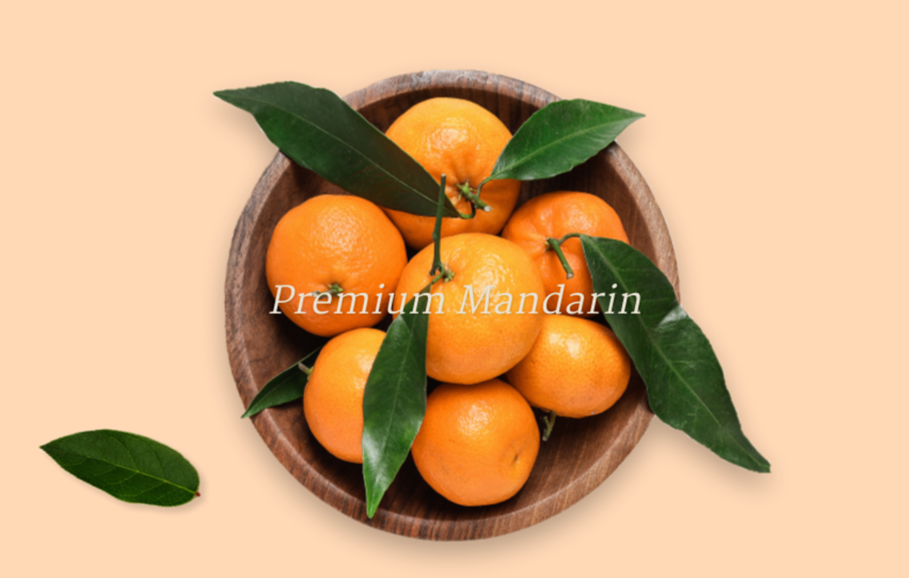 제주 하우스 감귤 5kg